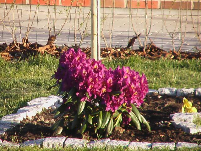 03-06-2004 19-15-24.JPG